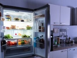 Should We Consider Renting A Refrigerator Based on The Model