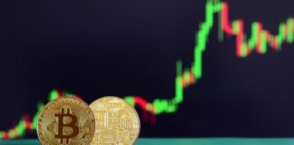 A Complete Guide to Make a Profitable Investment in Bitcoins