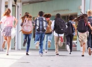 Public and Private Schools: The Main Differences and Peculiarities for Children