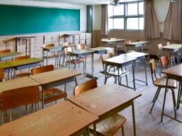 School Adaptation Period: How to Feel Comfortable During the First Months of Study
