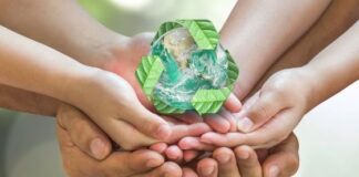 The Importance of CSR Activities for Your Business - What Experts Say