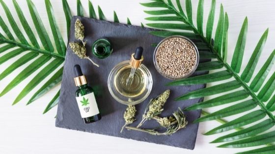 What Are The Advantages Of Giving CBD For Pets