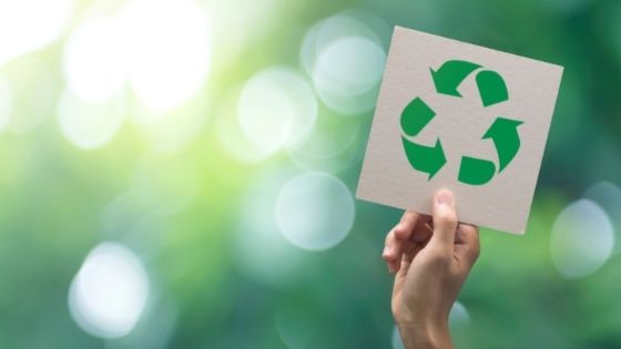 8 Recycling Ideas Every Business Should Implement Right Away