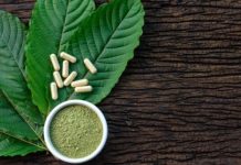 Kratom History – What You Should Know