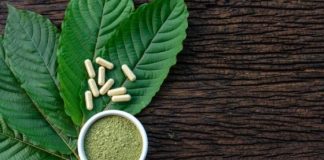 Kratom History – What You Should Know