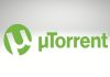 What are Torrents and How Do they Help