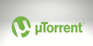 What are Torrents and How Do they Help
