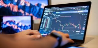 6 Best Forex Platform and Broker Options for Beginners