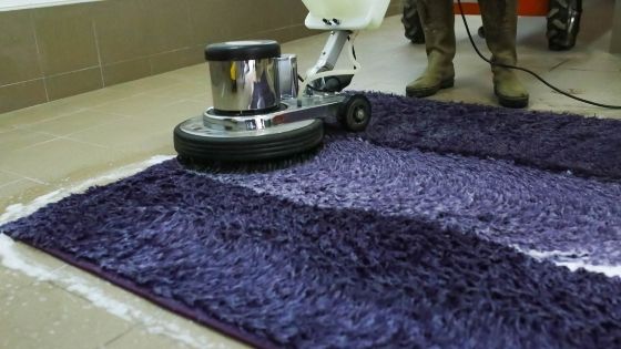 Benefits that Carpet Cleaning Services Can Offer