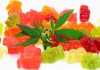 The Benefits of CBD Gummies for Weight Loss