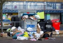 What are the Different Types of Waste Handled By North Shore Rubbish Removalists