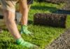 Some Key Points for Choosing Your Affordable Turf Supplier in Sydney