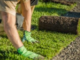 Some Key Points for Choosing Your Affordable Turf Supplier in Sydney