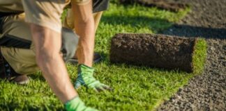 Some Key Points for Choosing Your Affordable Turf Supplier in Sydney