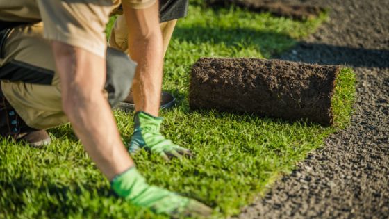 Some Key Points for Choosing Your Affordable Turf Supplier in Sydney