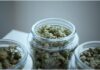 The Main Benefits Of Using Medical Marijuana