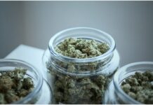 The Main Benefits Of Using Medical Marijuana