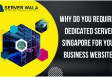 Why Do You Require a Dedicated Server Singapore for Your Business Website