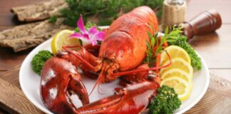 10 Fascinating Facts That Will Make You Love Lobsters More