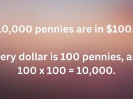 how many pennies are in 100
