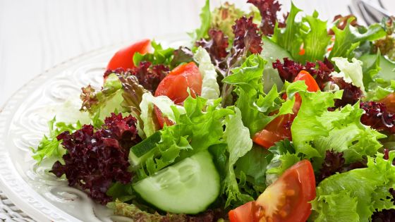 14 Best Delicious Salad Recipes - Healthy and Satisfying