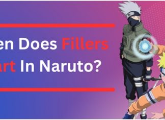 When Does Fillers Start In Naruto?