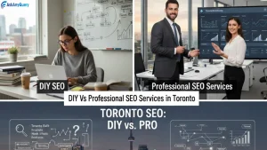 DIY Vs Professional SEO Services in Toronto