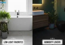 Best Indoor Plants for Low-Light Bathrooms Best Indoor Plants for Low-Light Bathrooms